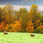 Farm stay Agro Na Gorce *