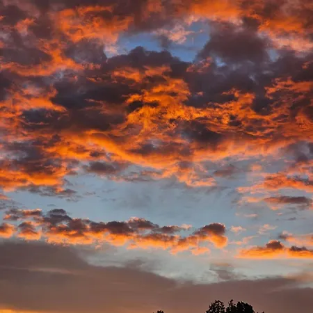 Agro Na Gorce Farma *