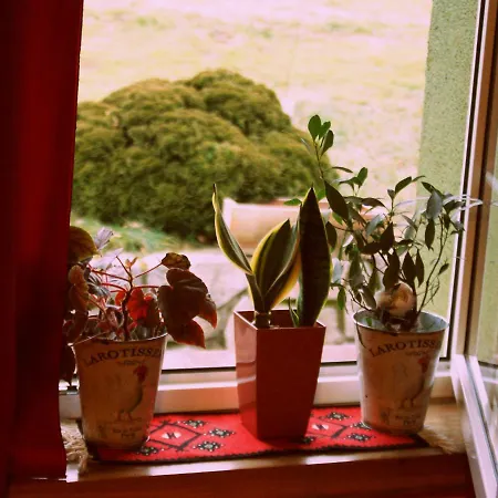 Agro Na Gorce * Barcinek