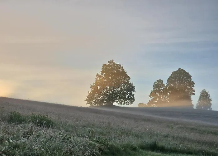 Agro Na Gorce * Barcinek