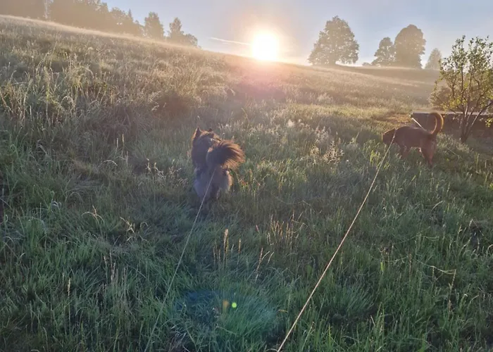 Feriegård Agro Na Gorce