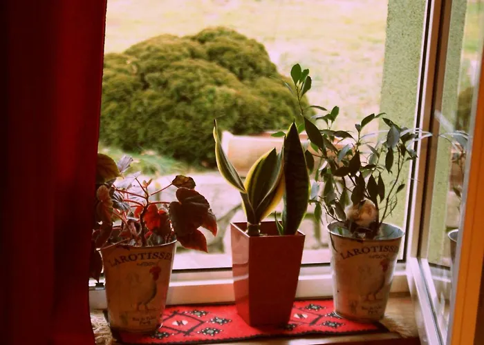 Agro Na Gorce * Barcinek